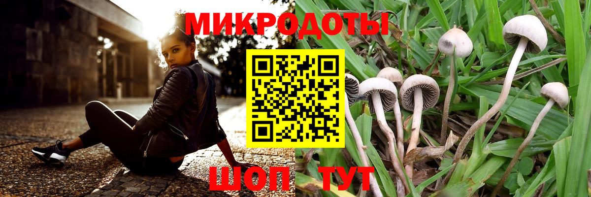 Псилоцибиновые грибы MAGIC MUSHROOMS  Псилоцибиновые грибы GOLDEN TEACHER  Куйбышев  Вход с VPN 