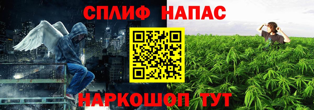 Канабис сатива Куйбышев